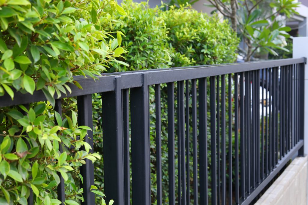 black steel iron fence